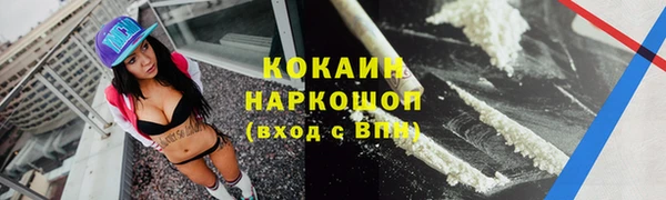 дмт Лиски