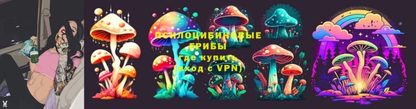 дмт Лиски