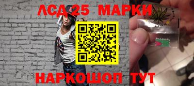 индика Гусь-Хрустальный