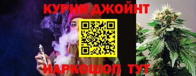индика Гусь-Хрустальный