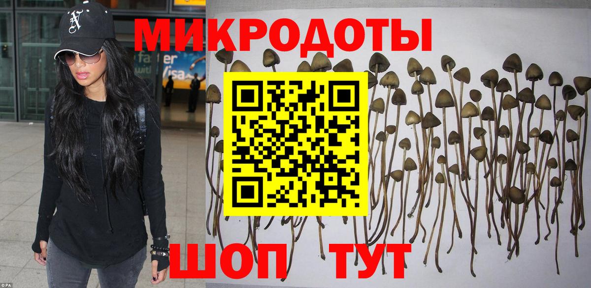 Псилоцибиновые грибы Magic Shrooms Сосновый Бор