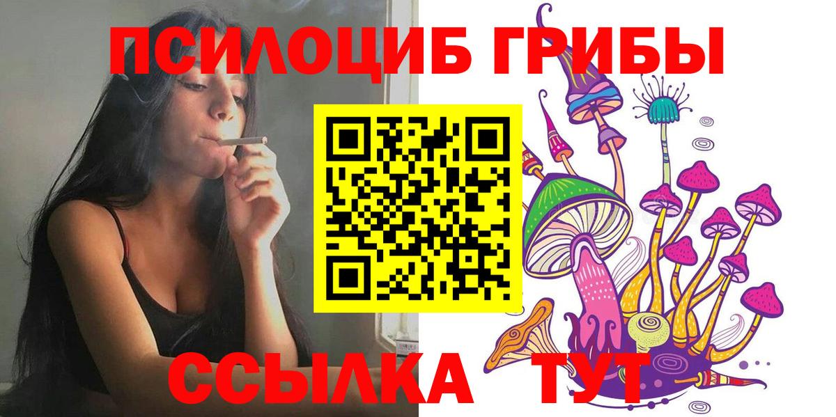 Псилоцибиновые грибы GOLDEN TEACHER  Вход с VPN  Сосновый Бор 
